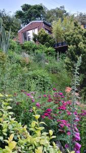 Glendalough Sanctuary