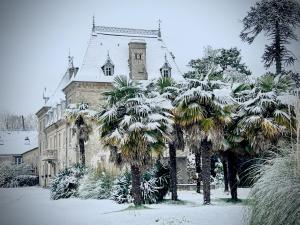 Gîte 1 Château Bellenau