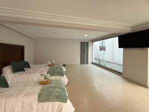 FIKA Apartamentos Elite