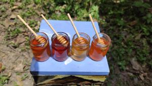 AYNI- Santuario de abejas