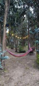 Parcela en el totoral