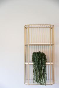 11 - 4 Bedrooms 3 Baths Sleeps up to 10