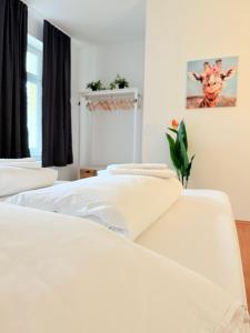 Duo & Friends Wien 20