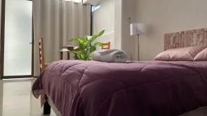 SP Rooms Centro Histórico 1 recámara matrimonial con baño privado - Chiná