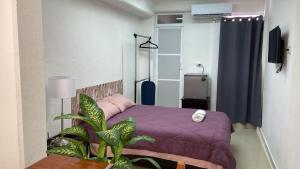 SP Rooms Centro Histórico 1 recámara matrimonial con baño privado