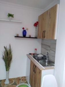 Oasis Studio apartment in Tirana near bus station