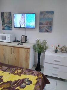 Oasis Studio apartment in Tirana near bus station