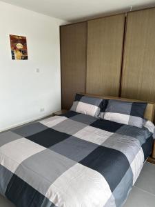 Sunny Penthouse Central