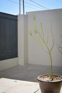 LiV109 Norte Depa 2 Cd Obregon