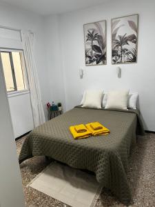 Palmara Las Canteras alquiler por habitación