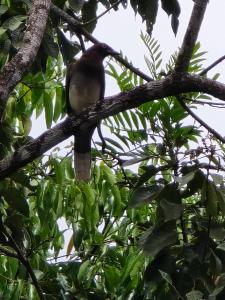 Happy Paradise Lodge