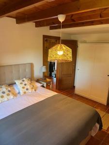 Casa Collar