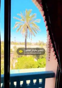 Appartement La Palmeraie