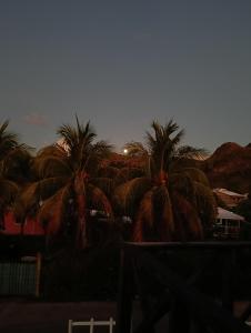 Posada In the Caribbean