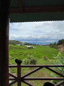 Ikua Tanjuang