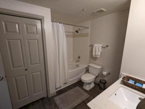 The Green Room 2 - 1BD 1BA near NASA JSC