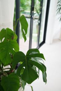 Mau Villa by Bali Bliss Properties