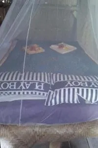 Tannawildpig - White Sands