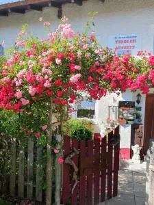 Ferienwohnung Tiroler Auszeit & Whirlpool - وزنباك أمليش