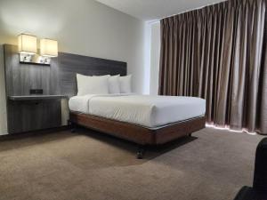 Las Palmas Airport Inn