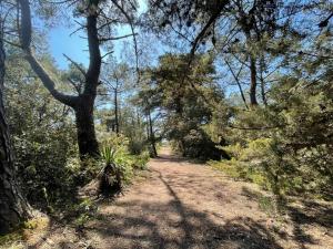 Maisonnet avec Jardin à Barbâtre - 24 Personnes, Plage à 400m, Petit Chien Accepté - FR-1-823-118