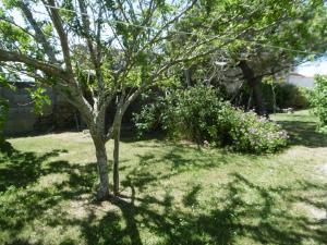 Maisons de vacances Maison Noirmoutier - Jardin Clos Ombre - 4 Pers - FR-1-823-136 : photos des chambres