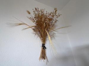 Appartement T2 + Alcôve, piscine collective, 5 pers, parking - FR-1-323-568