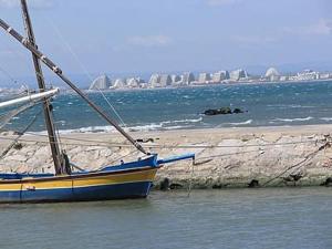 Appt climatisé, 4 pers, piscine et parking - Le Grau-du-Roi - FR-1-250-300