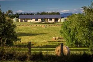 AislingQuoy - Leithfield