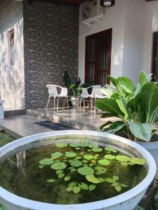 Villa 369