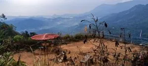 Cicada Tribes - Devikolam