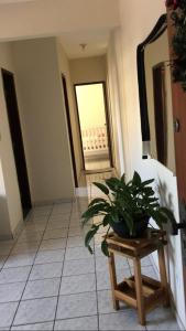 Apartamento na Praia do Morro