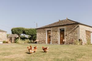 Casa do Cuco - Rural house