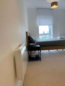 Two-Bedroom Apartment with City View