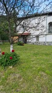 Къща за гости ВИРА - Perushtitsa