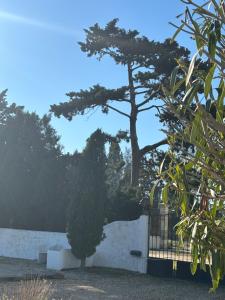 Maisons de vacances Mas du petit Tamaris : photos des chambres