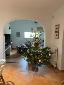 Maisons de vacances Mas du petit Tamaris : photos des chambres