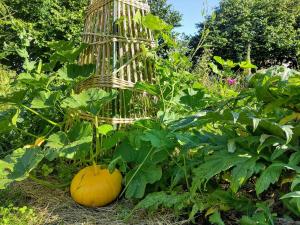 B&B / Chambres d'hotes Aubepine : photos des chambres