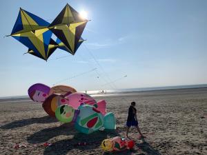 Chalets Villa La Mer - maison typique et jardin a Berck-Plage a 300 m de la mer : photos des chambres