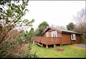345 Ida's Cabin - Trawsfynydd