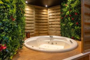 Appartements LA SUITE SEPT LE BRAS DOR : photos des chambres