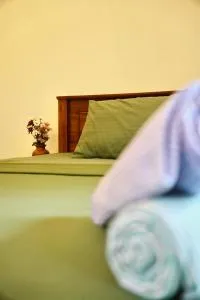 Turtle Point Homestay - Batigama