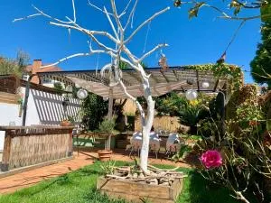 Árbol Blaanco - Lugo de Llanera