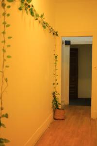 غرفة مميزة في قلب القاهرة