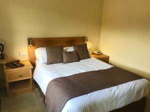 Basic Small Double Room room in Anchorage Hotel
