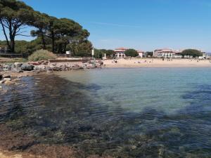 Appartements Aux Papyrus : photos des chambres