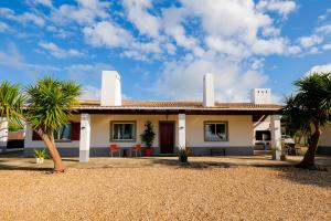 Luxe villa for 8 - Private Pool -AC -BBQ Area - Patio - 160Mbps - Olives - Palm - vineyard