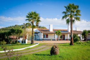 Luxe villa for 8 - Private Pool -AC -BBQ Area - Patio - 160Mbps - Olives - Palm - vineyard