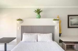 Mossel Bay Golf Retreat 1BR Luxury Escape