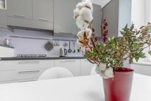 Corsica Comfort Suites-10 Min to LINATE AIRPORT